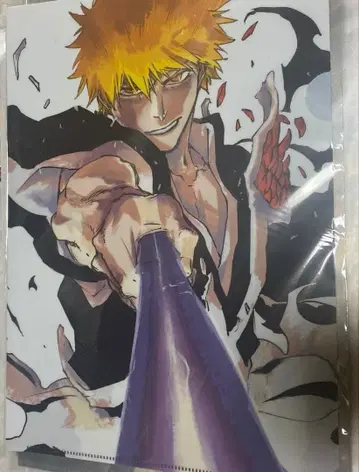 BLEACH 원화전 쿠로사키 이치고 클리어 파일