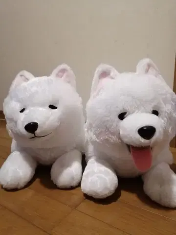 사모예드견 엎드려 2 울트라 빅 봉제 인형 2체 세트 다이토 한정판