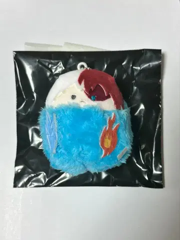 나의 히어로 아카데미아 토도로키 쇼토 꼬마 누이