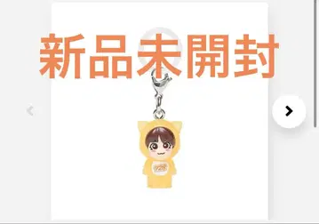 오오니시 류세이 나니와단시의 메지루시 참