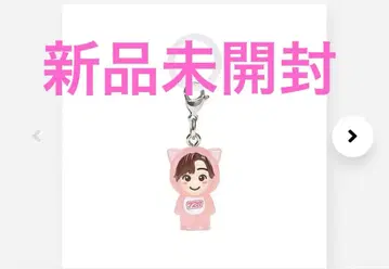 미치에다 슌스케 나니와단시의 메지루시 참