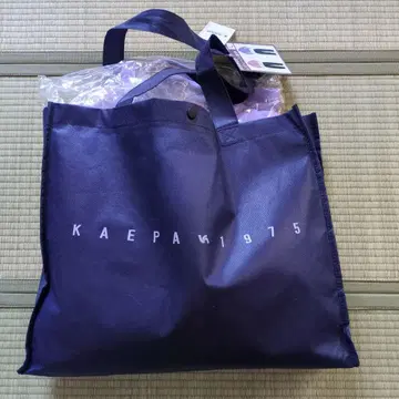 kaepa 여성용 트레이닝 셋업 L 사이즈