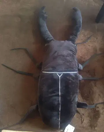 반다이 와쿠데카 장수풍뎅이 봉제 인형