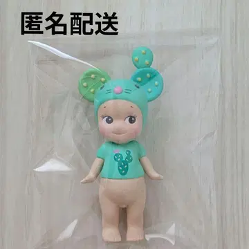 소니 엔젤 선인장