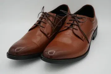 가격 대폭 인하 cecilio 브라운 가죽 드레스 슈즈