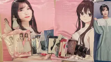 미야세 레이나(사쿠라 하지메) 타치카와 아야카 태피스트리 아크릴 스탠드