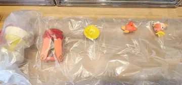 커비 오발티크 컬렉션 와돌디