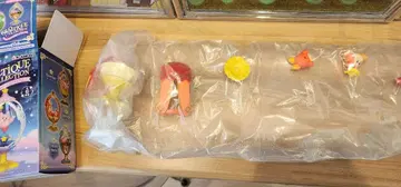 커비 오발티크 컬렉션 와돌디