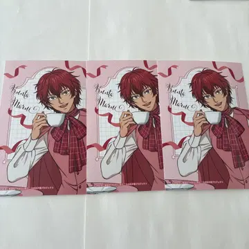 점페스 JF2026 엔스카이 브로마이드 신테니 마루이 분타