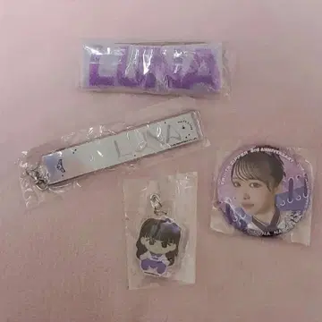 FRUITS ZIPPER 랜덤 캡슐 나카가와 루카 메지루시 마커 외