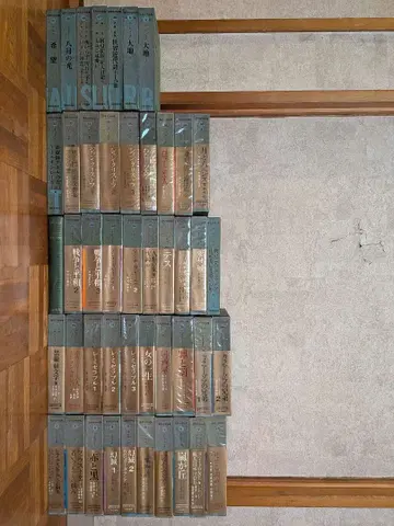 세계문학전집 가와데쇼보신샤 46권