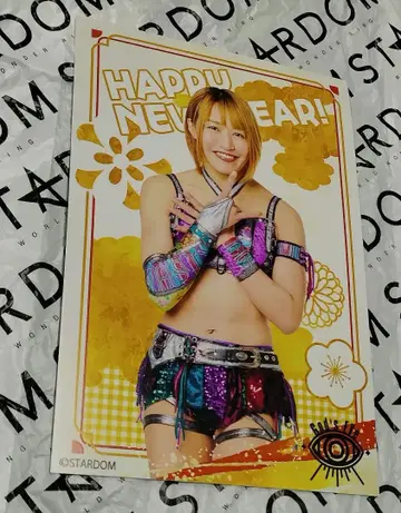 마리오 크레이프 스타덤 랜덤 연하장풍 엽서 슈리 선수