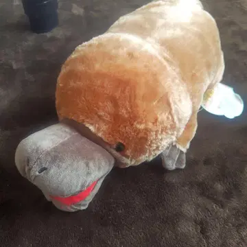 가장자리 오리 봉제 인형