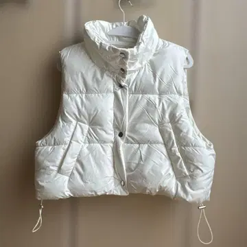 WEGO/숏 테드 베스트