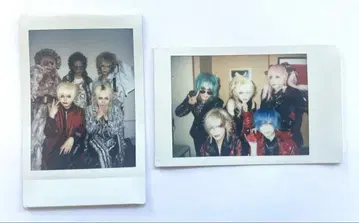 나방과 나비 콜렉션 폴라로이드 세트