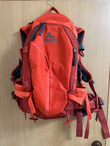 Gregory 32L Targhee 구 로고