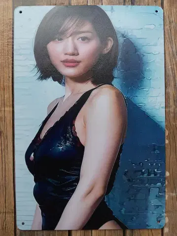 아야세 하루카 양철 간판 신상 미사용품!