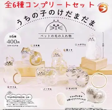 우리 아이의 털뭉치 전 6종 컴플리트 미개봉 새상품 정품