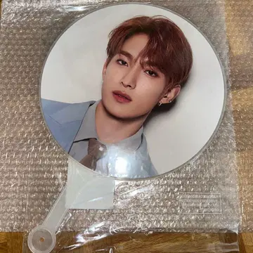 SEVENTEEN 2021 INCOMPLETE 부채 도겸