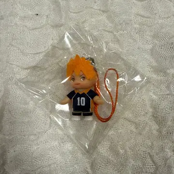 하이큐 큐피 히나타 쇼요