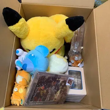 피카피카 박스 2026 포켓몬 센터 온라인 개봉 완료