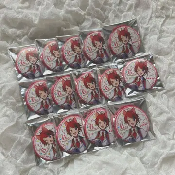 스토푸리 리이누군 6th ANNIVERSARY 등신 14개