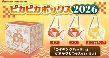 [ 미개봉 새상품 ] 피카피카 박스 2026