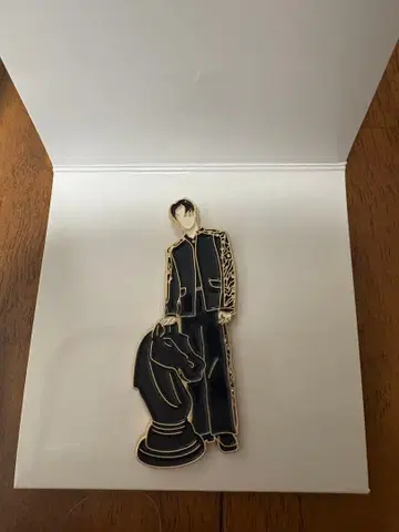 스키즈 Stray Kids FORCE 핀 배지 한