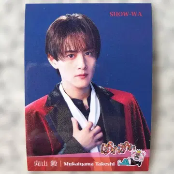 무카이야마 타케시 SHOW-WA 신 포카포카 스티커 타케짱