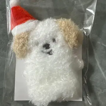 RIIZE 109 손가락 인형 키링 앤톤 몽룡이3