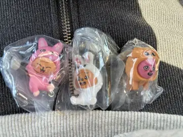 SKZOO 가챠 집어서 이어 붙이는 마스코트 2 메지루시 액세서리