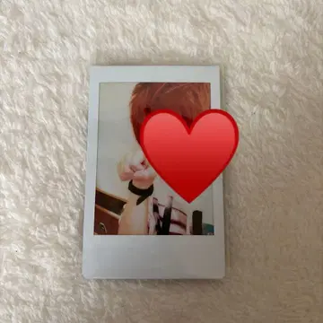 바우 폴라로이드