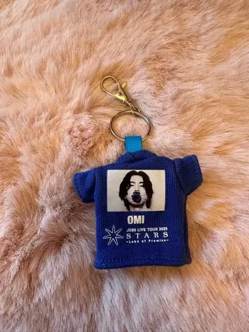 3대 토사카 히로오미 키링