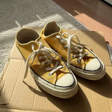 CONVERSE Chuck Taylor 썬플라워 ct70