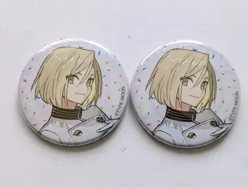 와다 아루코전 Fate 레오나르도 레오 캔뱃지