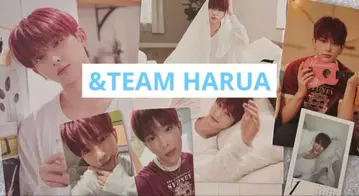 &TEAM HARUA 하루아 세트 시그 폴라로이드 트레카 잘라낸 것