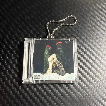 Drake 앨범 키링 UFC 내장