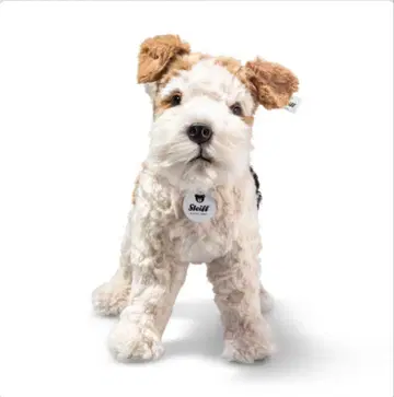 슈타이프 폭스테리어의 폭시