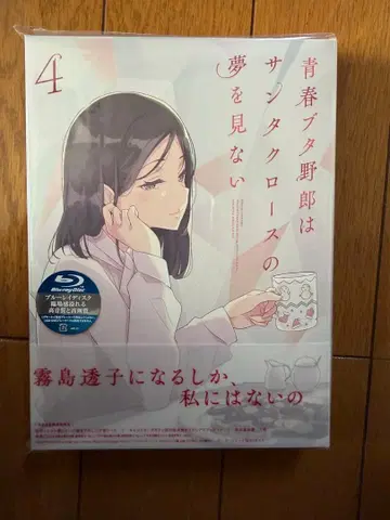 청춘 돼지 녀석은 산타클로스의 꿈을 꾸지 않아 4 (완전 생산 한정판)