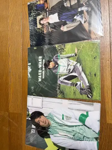 아라시 아이바 마사키 클리어 파일 3장 세트