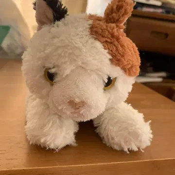 고양이 봉제 인형 무릎 고양이