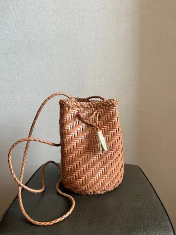 Dragon Diffusion 드래곤백 숄더백