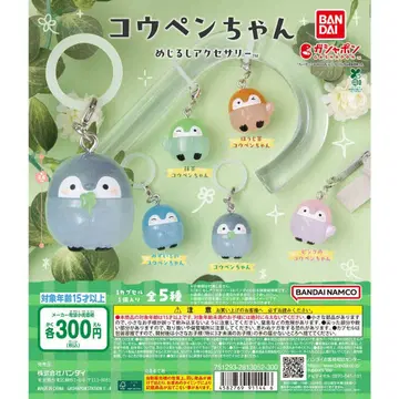 코우펜짱 메지루시 액세서리 가챠 전종 세트