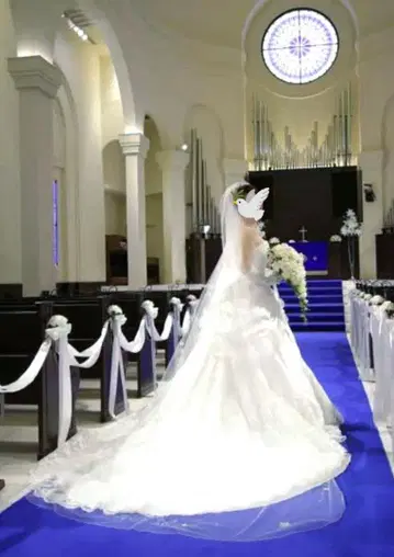 타카미 브라이덜 화이트 롱 웨딩 베일