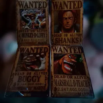 미사용 새상품 원피스 신 4황 금속 간판 4장 세트