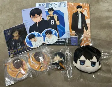 하이큐 카게야마 토비오 묶음 판매