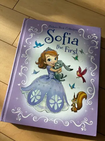 외국도서 Sofia the first