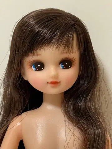 리카짱 캐슬 커스텀 리카짱 커스텀 메이크 리카짱