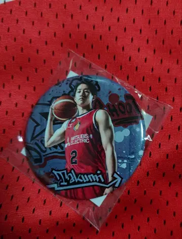 나고야 다이아몬드 돌핀스 사이토 타쿠미 캔뱃지