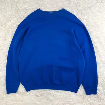 00s 프룻 오브 더 룸 블랭크 맨투맨 파랑 블루 무지 XL USA